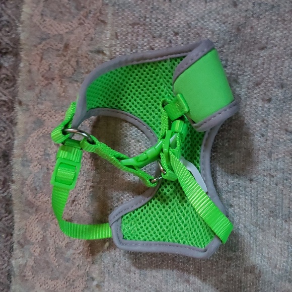 Kitten or small cat safety harness with reflective stripes - Picture 2 of 4